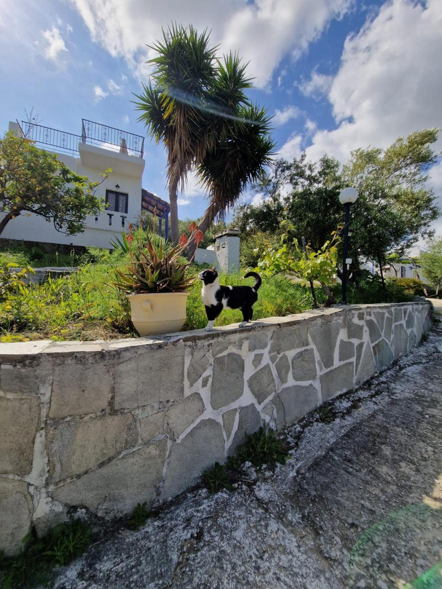 Apartamento Stefanos Garden Arménoi Exterior foto