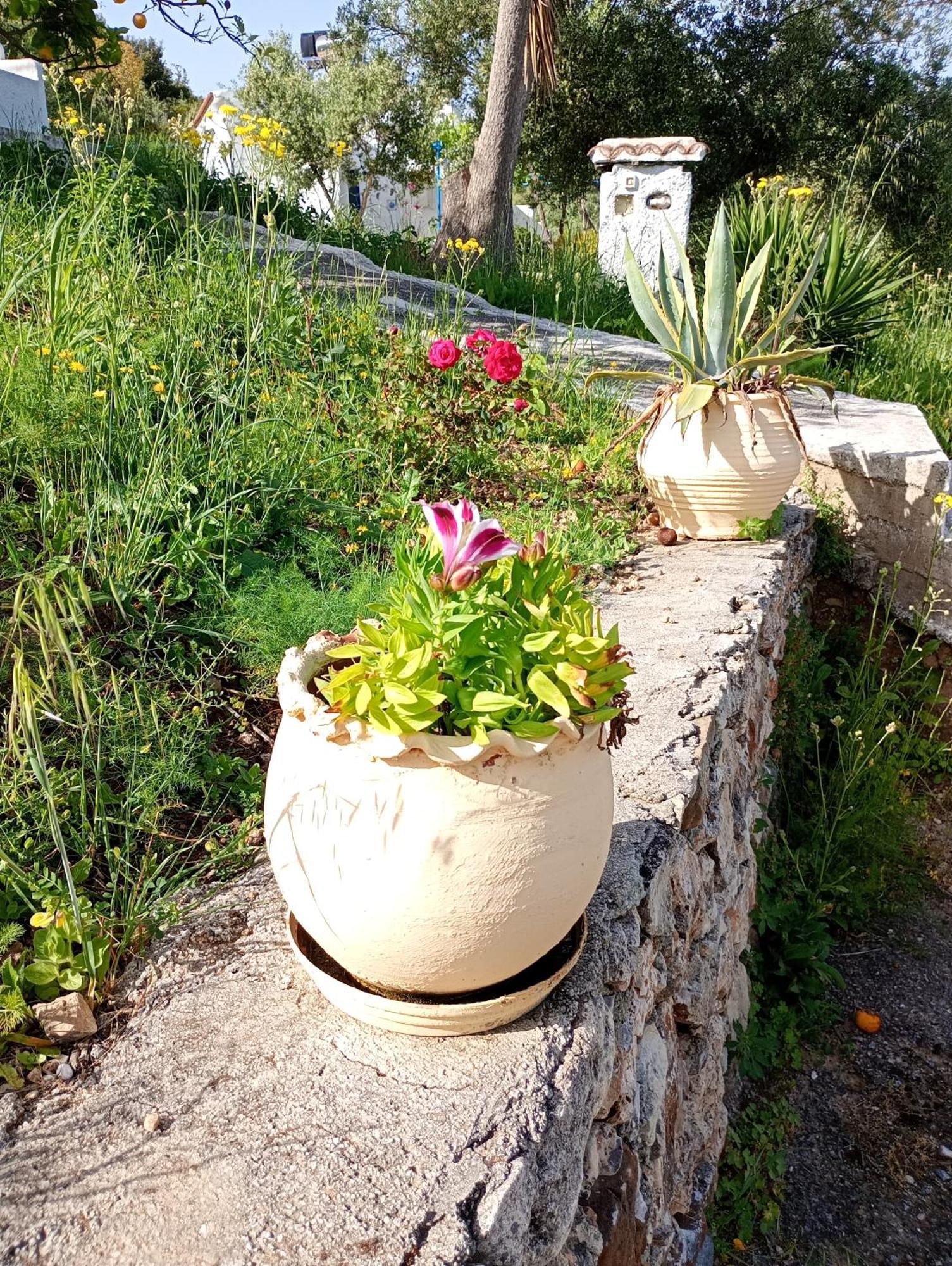 Apartamento Stefanos Garden Arménoi Habitación foto